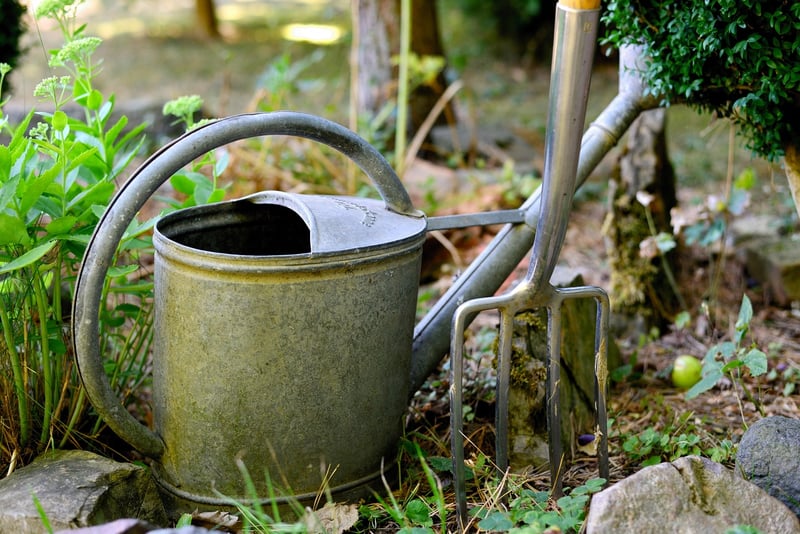 Watering Techniques